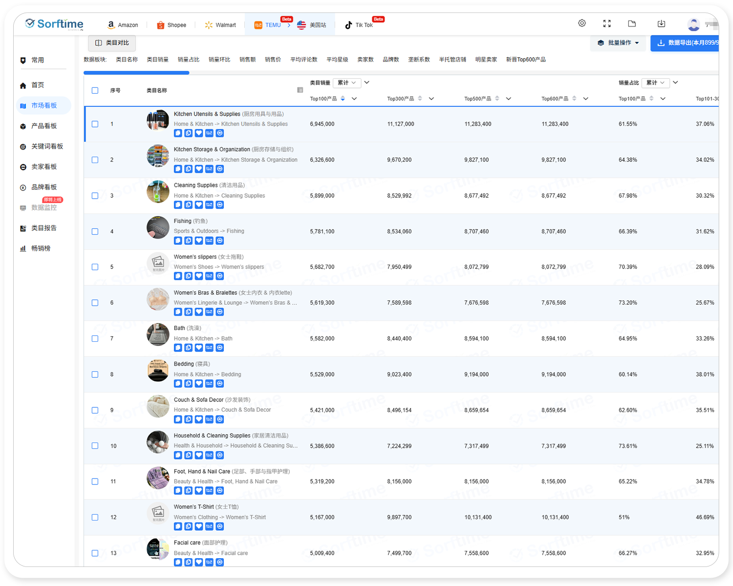 Temu细分类目分析报告1